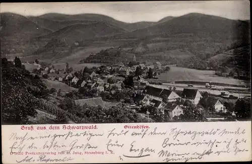Ak Ottenhöfen im Schwarzwald, Panorama