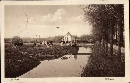 Ak Hoorn Nordholland Niederlande, Holeweg