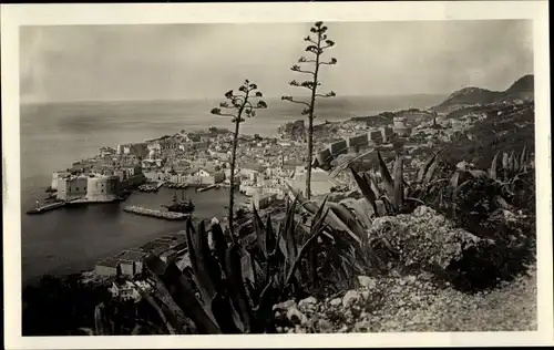 Ak Ragusa Dubrovnik Kroatien, Totalansicht der Ortschaft