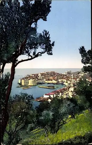 Ak Ragusa Dubrovnik Kroatien, Blick auf die Stadt, Wiese, Bäume