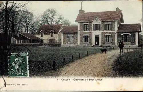 Ak Cesson Seine et Marne, Chateau de Breviandes