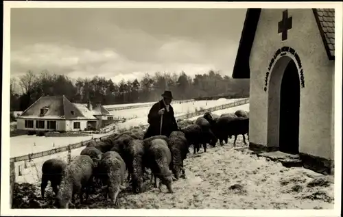 Ak Neutsch im Odenwald Modautal, Kriegstoten Gedächniskapelle, Hirte, Landhaus Am Kleinen Wäldchen