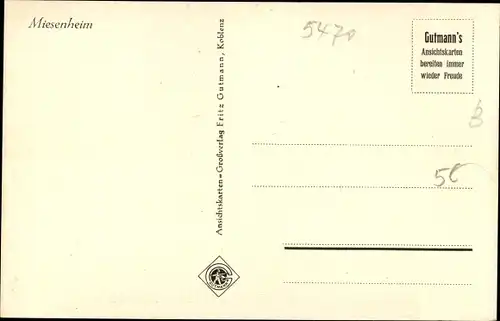 Ak Miesenheim Andernach im Landkreis Mayen Koblenz, Panorama