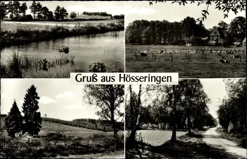 Ak Hösseringen Suderburg Lüneburger Heide, Landschaftsbilder