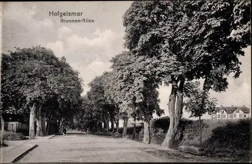 Ak Hofgeismar in Nordhessen, Brunnenallee