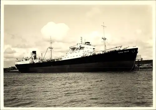 Ak Frachtschiff Tema Palm, Palm Line