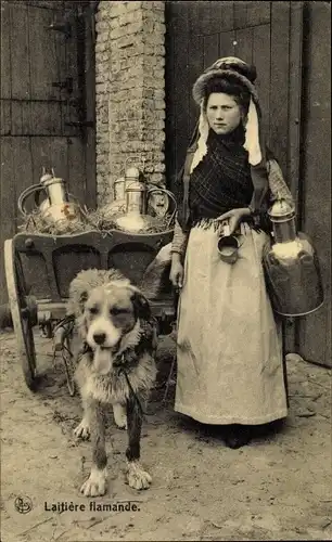 Ak Belgien, Laitière flamande, Flämisches Milchmädchen, Hundekarren