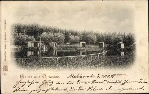 Ak Bad Oldesloe in Schleswig Holstein, Salzteich