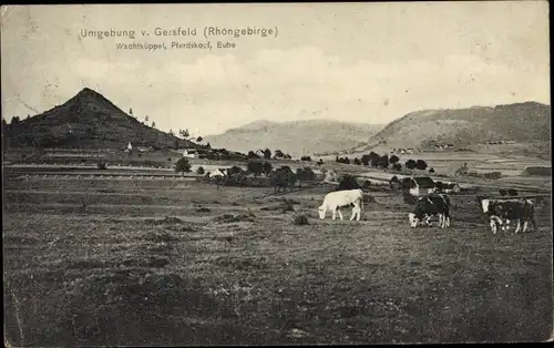 Ak Maiersbach Gersfeld in der Rhön Hessen, Wachtküppel, Pferdskopf, Eube