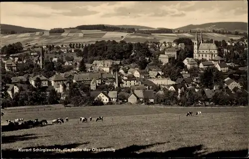 Ak Schirgiswalde Kirschau in Sachsen, Totalansicht, Kühe