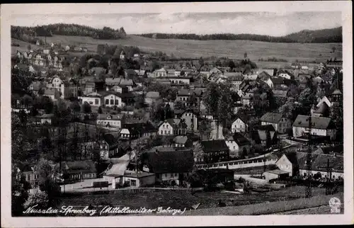 Ak Neusalza Spremberg in Sachsen, Panorama