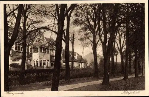 Ak Harzgerode am Harz, Kurhaus