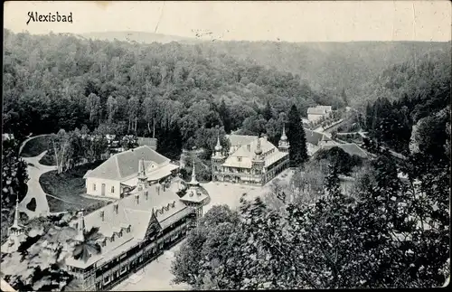 Ak Alexisbad Harzgerode am Harz, Teilansicht, Wald