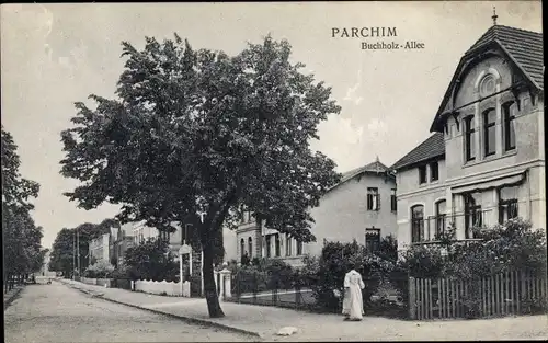 Ak Parchim in Mecklenburg, Buchholz Allee