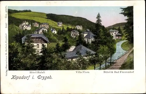 Leuchtfenster Ak Kipsdorf Altenberg im Erzgebirge, Villa Flora, Hotel Halali, Bad Fürstenhof