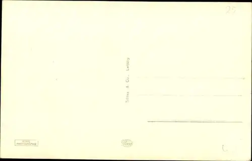 Ak Tschernjachowsk Insterburg Ostpreußen, Partie im Steingarten