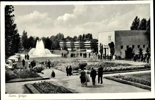 Ak Werden Essen im Ruhrgebiet, Gruga