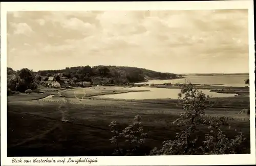 Ak Langballigau Langballig Schleswig Holstein, Blick v. Westerholz