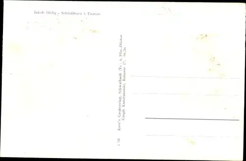 Ak Schloßborn Glashütten im Hochtaunuskreis, Gesamtansicht, Kreisjugendheim, Marienruhe