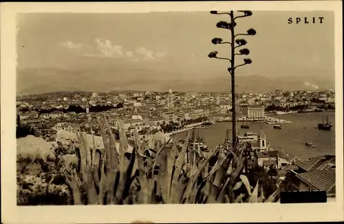 Ak Split Kroatien, Panorama der Stadt, Hafen, Agaven