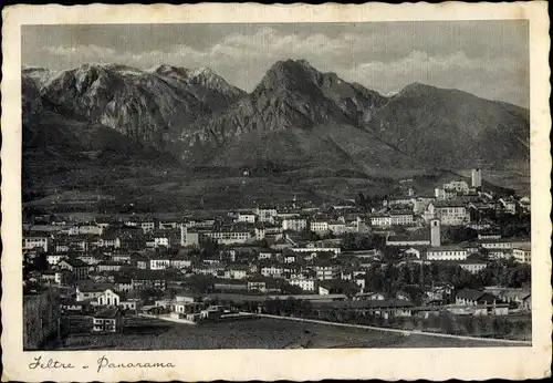 Ak Feltre Veneto, Panorama
