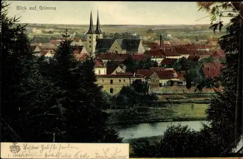 Ak Grimma in Sachsen, Blick auf die Stadt und Kirche