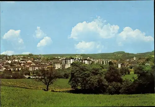 Ak Mühltal im Odenwald, Panorama