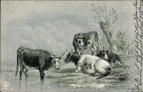 Litho Rinder am Ufer