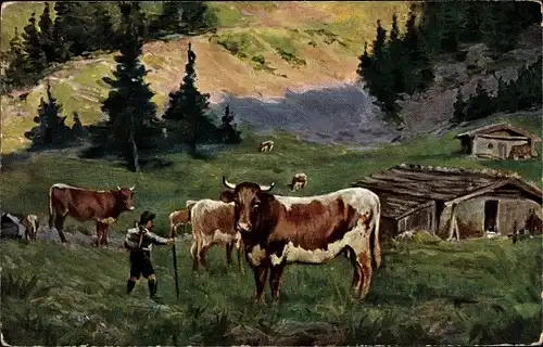 Ak Rinder auf der Weide, Wanderer