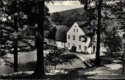 Ak Horn Bad Meinberg, Waldgaststätte Kattenmühle im Silberbachtal