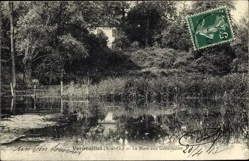Ak Vernouillet Yvelines, La Mare aux Grenouilles