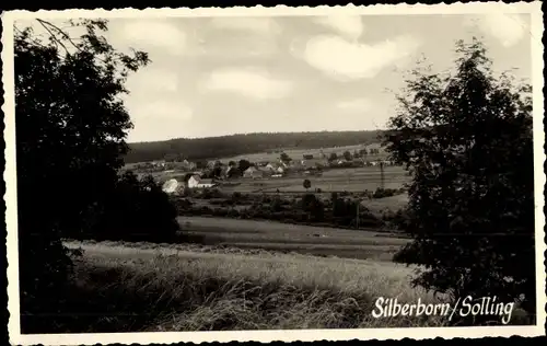 Ak Silberborn Holzminden im Solling, Panorama