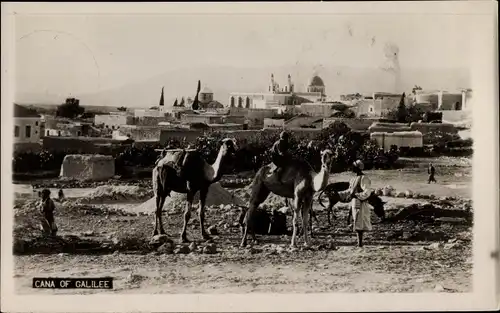 Ak Kana Galiläa Palästina, Panorama von der Ortschaft, Kamele