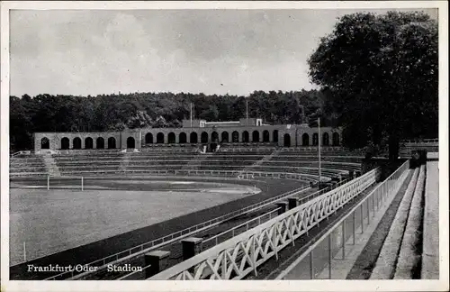 Ak Frankfurt an der Oder, Tribüne,  Stadion