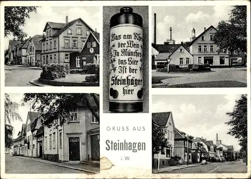 Ak Steinhagen in Westfalen, Teilansichten, Steinhäger