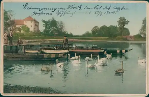 Kabinettfoto Oranienbaum Wörlitz Sachsen Anhalt, Bootsfahrt, Schwäne, 1900