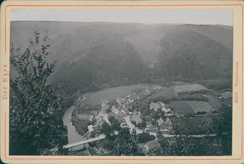 Kabinettfoto Treseburg Thale im Harz, Vogelschau, Gesamtansicht, um 1890