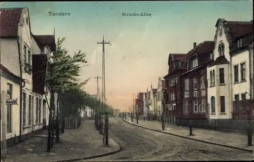 Ak Tønder Tondern Dänemark, Strucks Allee