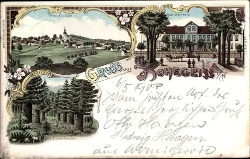 Litho Hohegeiß Braunlage im Oberharz, Hotel Ebersberg, Totalansicht, dicke Tannen