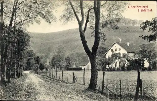 Ak Detmold in Nordrhein Westfalen, Blick auf die Oberförsterei im Heidental