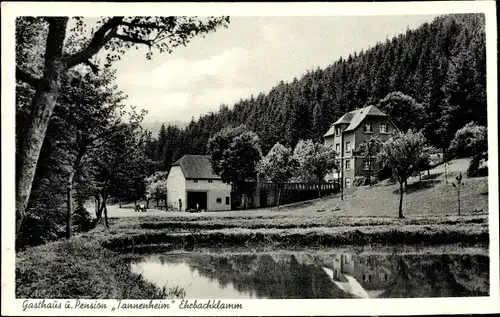 Ak Gondershausen Rhein Hunsrück Kreis, Gasthaus Pension Tannenheim, Ehrbachklamm, Bes. Schmehl