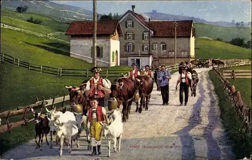 Ak Schweiz, Heimkehr von der Alm, Rinder, Ziegen, Hirten