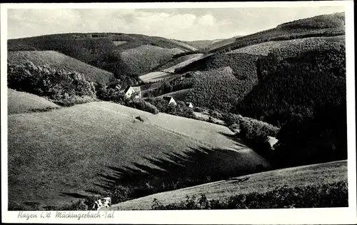 Ak Hagen in Westfalen, Mäckingerbach Tal