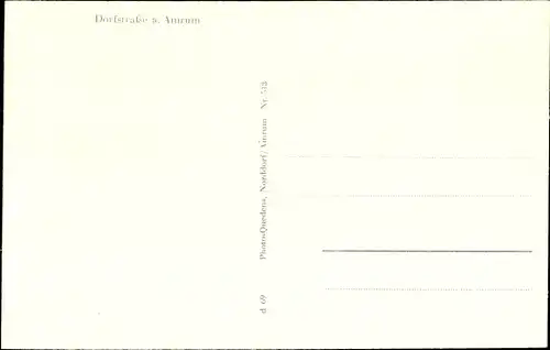 Ak Insel Amrum in Nordfriesland, Partie in der Dorfstraße