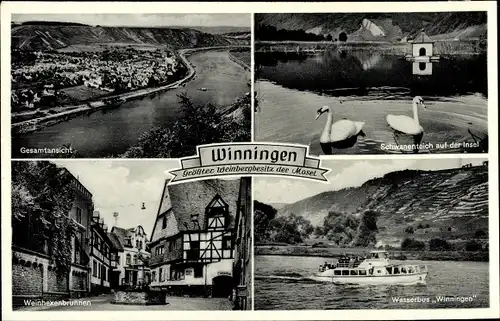 Ak Winningen an der Mosel, Gesamtansicht, Schwäne auf der Insel, Wasserbus, Weinhexenbrunnen