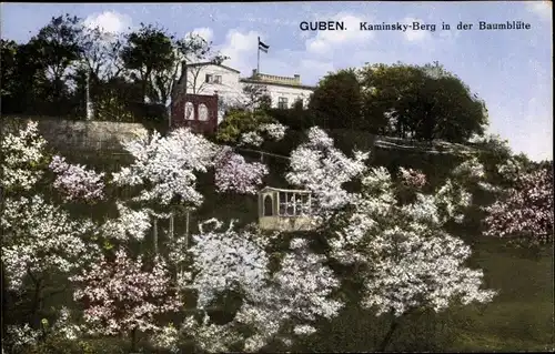 Ak Guben in der Niederlausitz, Kaminsky Berg in der Baumblüte