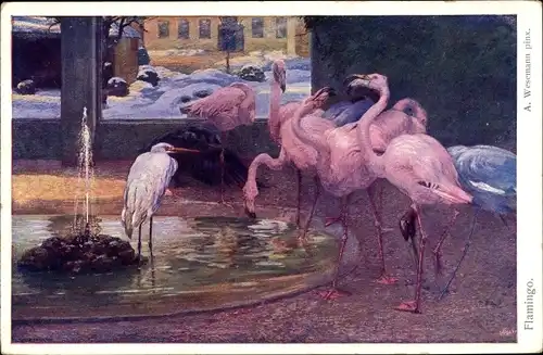 Künstler Ak Wesemann, A., Flamingos und Reiher an einem Brunnen