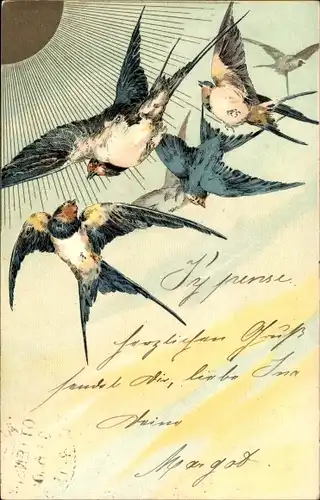 Präge Litho Schwalben im Flug, Sonnenschein