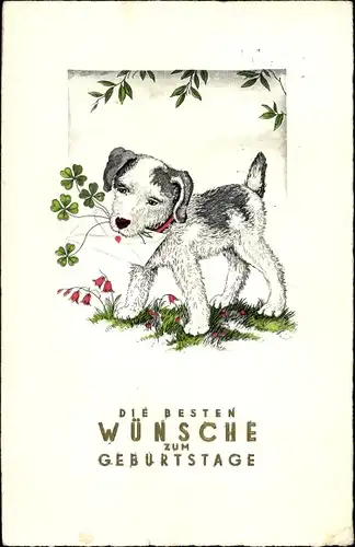 Ak Glückwunsch Geburtstag, Hund mit Brief, Kleeblätter