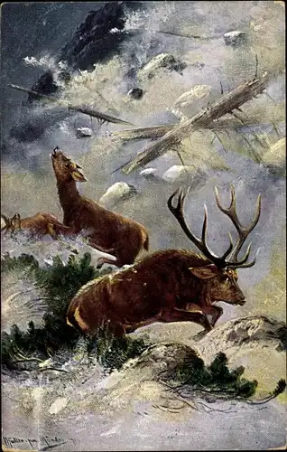 Künstler Ak Müller, M. jun., Hirsche fliehen vor einer Lawine